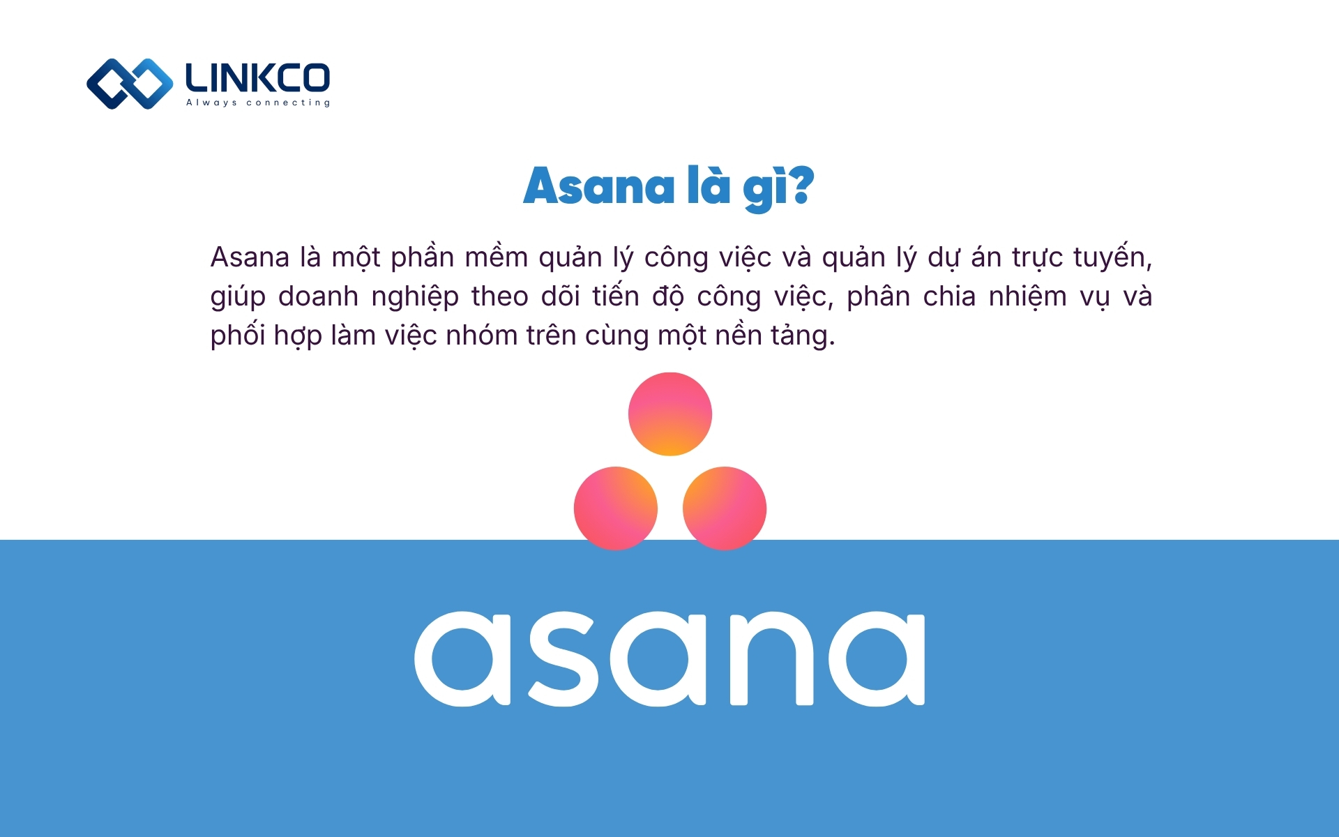 Asana là gì?