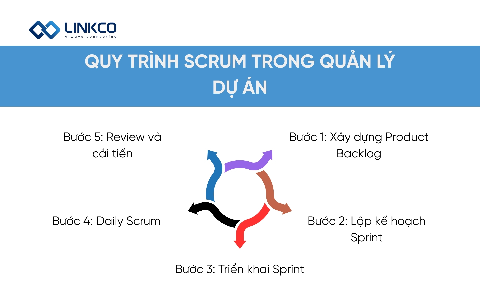 Quy trình Scrum trong quản lý dự án