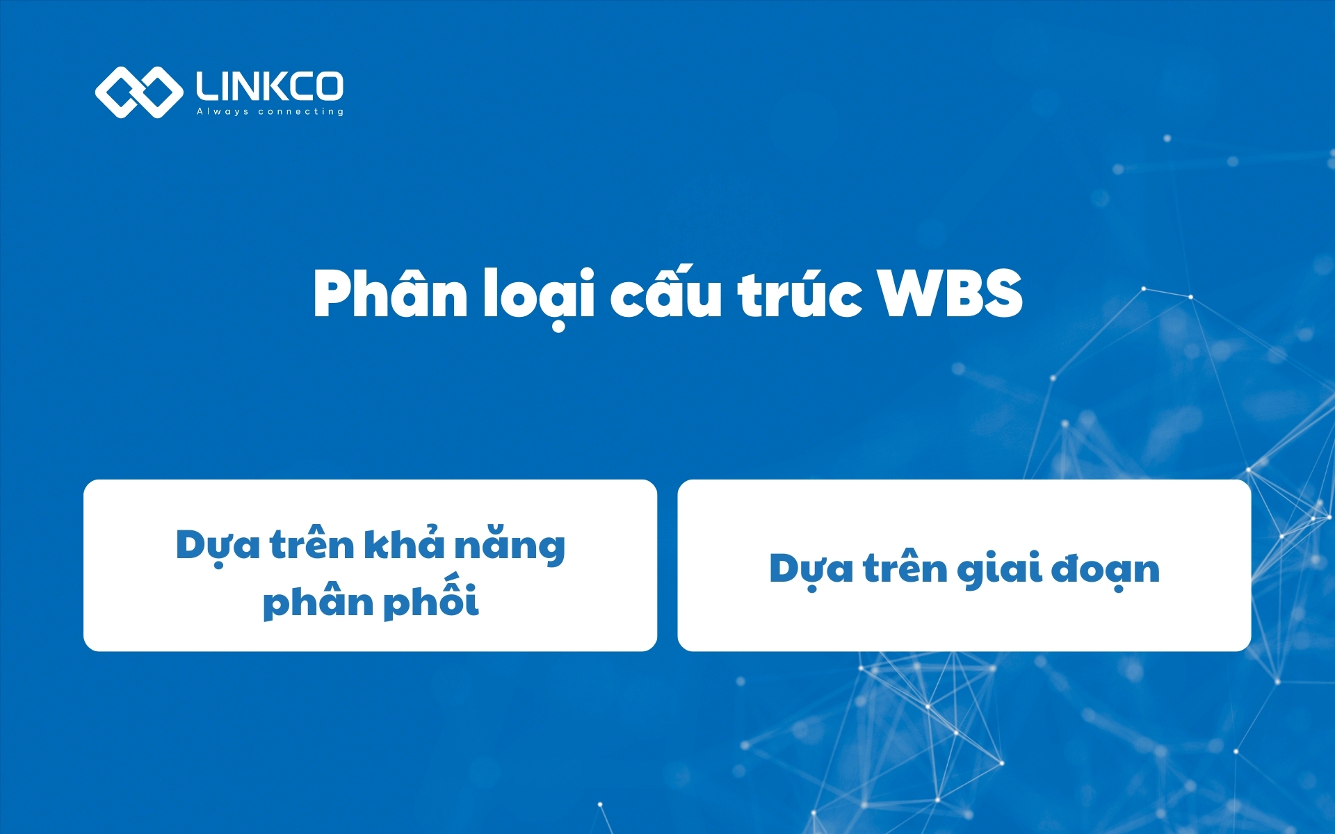 Phân loại cấu trúc WBS