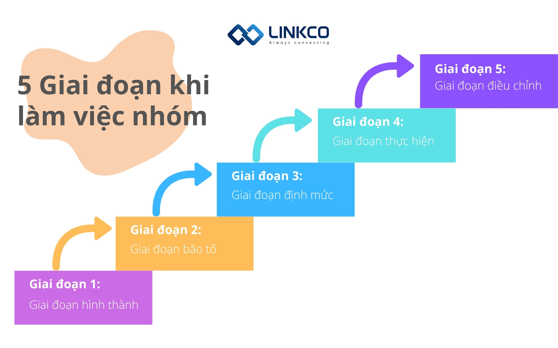5 Giai đoạn khi làm việc nhóm